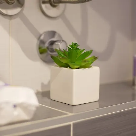 Aida Apartment *